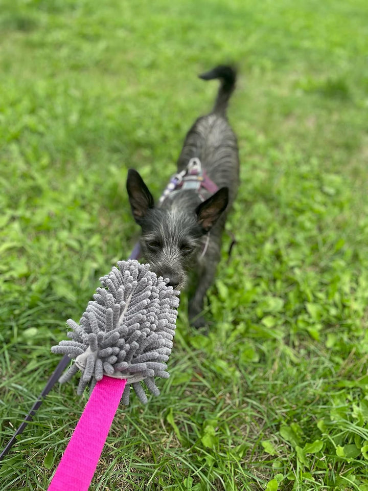 Dingo Mop auf länge Band 130 cm Agility Apporte Motivation Spiel mit Hund Zerrspielzeuge Training pe