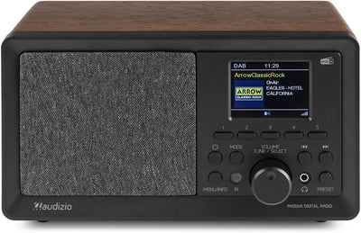 Audizio Padova - Küchenradio DAB Radio mit Fernbedienung, Retro DAB Radio mit Bluetooth, TFT Farbdis