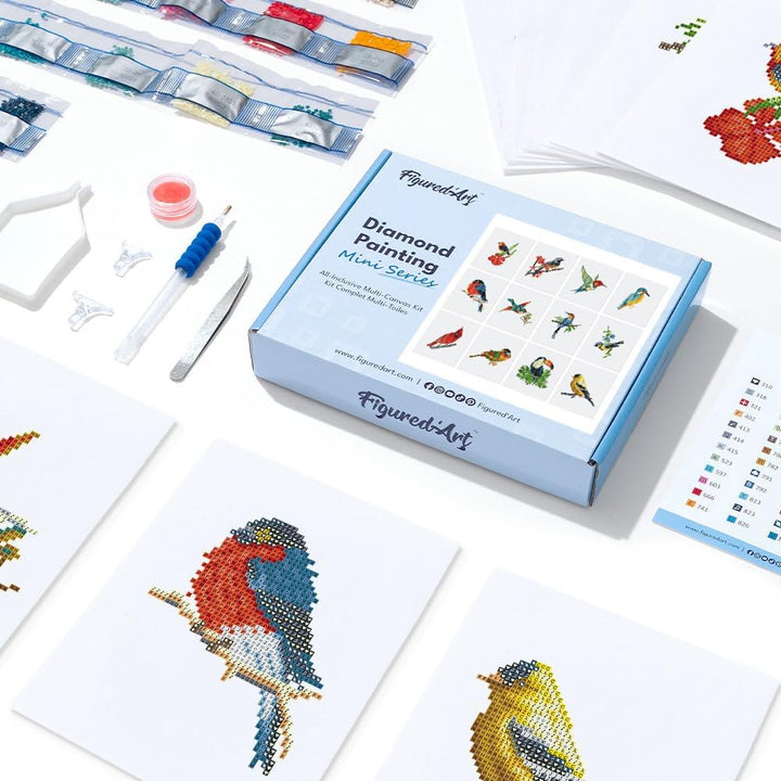 Figured'Art Mini Serie Diamond Painting Erwachsene - Buntes Vogelparadies - Premium-Box mit 12 Stück