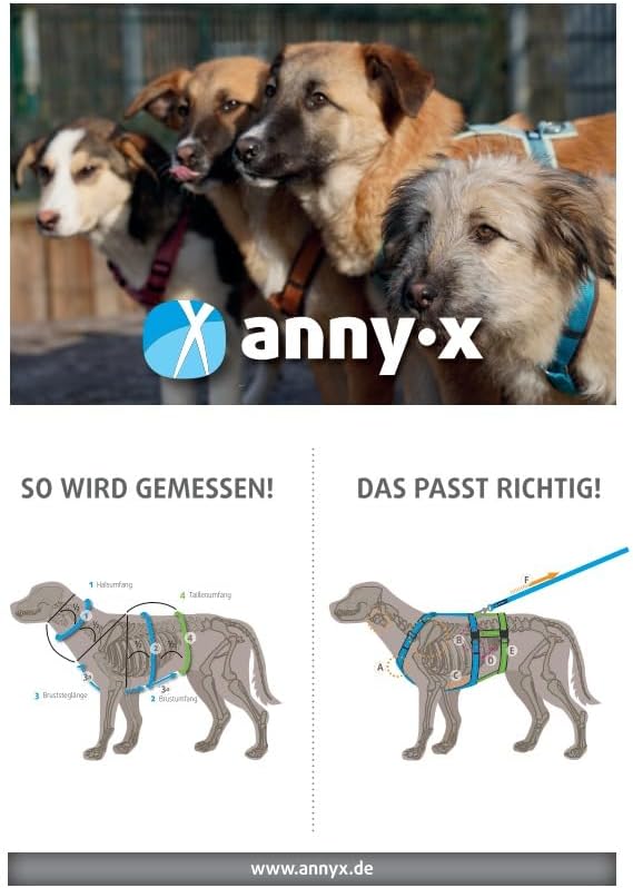 Annyx Brustgeschirr Fun Sonnenhut (M), M
