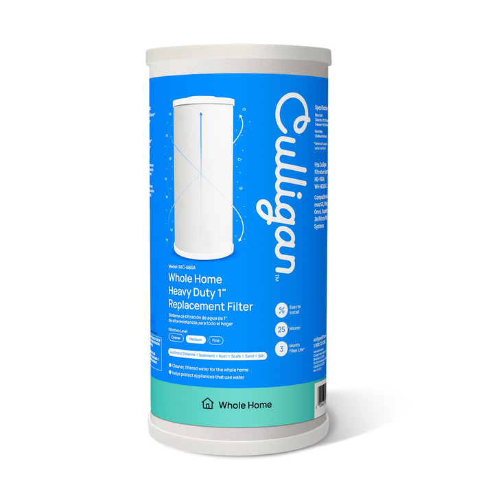 Culligan rfc-bbsa ganze Haus Premium Wasser Filter, 10.000 Gallonen