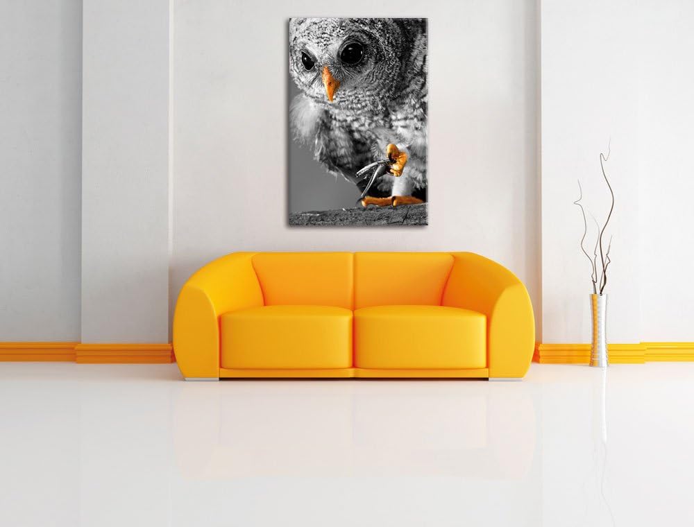 Pixxprint Eule mit Grille in ihren Krallen als Leinwandbild/Grösse: 100x70 cm/Wandbild/Kunstdruck/fe