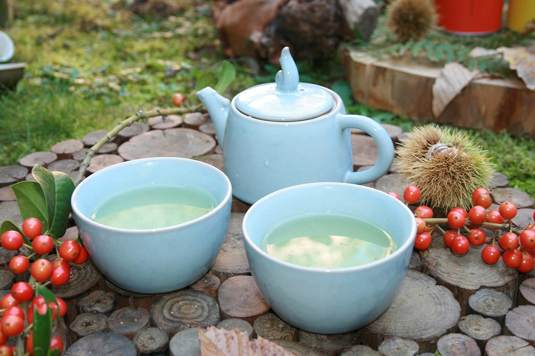 TEASOUL B6021249 Porzellan Teekanne mit 2 Tassen, 200 ml, blau