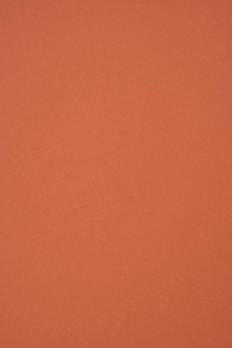 Netuno 100x Bastelkarton Ziegelfarbe DIN A4 210 x 297 mm 250g Materica Terra Rossa Umwelt-Karton öko