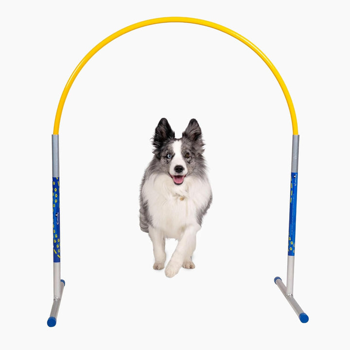 Hoopers Agility Hoops - NADAC Hoopers Agility Hoops ohne Mittelstrebe (Grosspackung) Gelb, Gelb