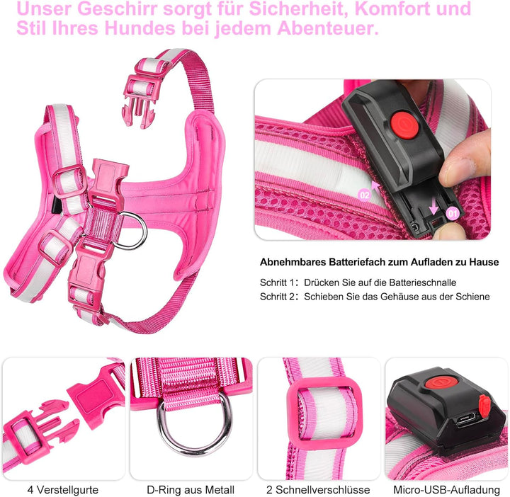 Hundegeschirr Leuchtend, Leuchtgeschirr für Hunde Aufladbar, Leuchtendes Hundegeschirr LED, Leucht G