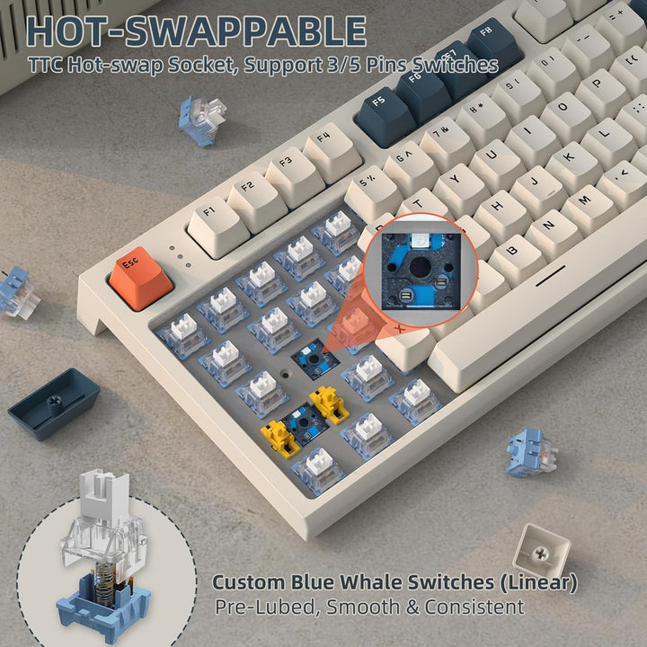 VGN GAMEPOWER RK86PRO Mechanische Gaming Tastatur Kabellos 75% Prozent TKL, 2,4G Wireless/Bluetooth/
