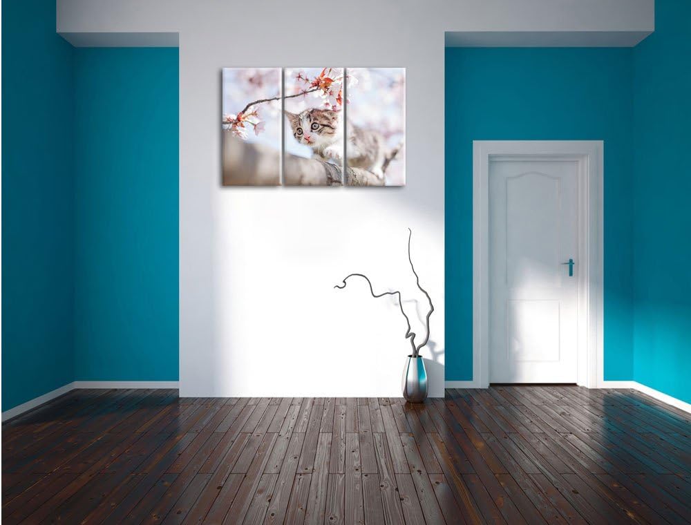 Pixxprint Süsses Kätzchen im Kirschbaum als Leinwandbild/Grösse: 3 Teilig (120x80) / Wandbild/Kunstd