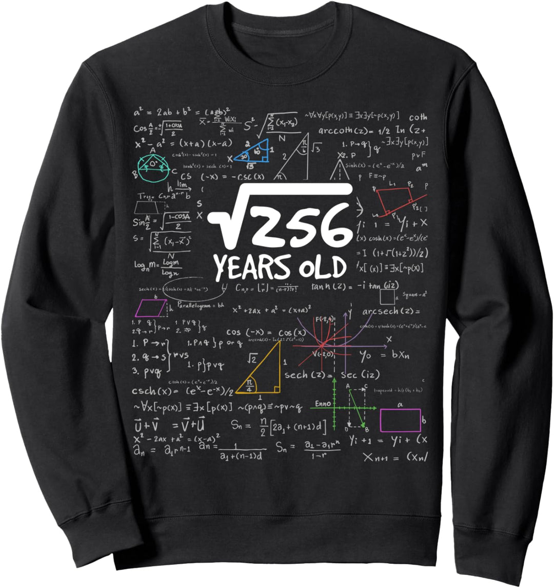 Lustiges Geschenk Quadratwurzel Wurzel aus 256 = 16 Jahre Sweatshirt