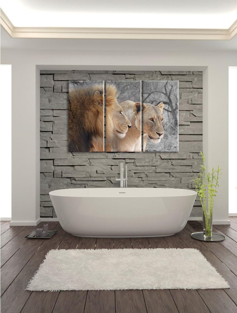 Pixxprint stolzes Löwenpaar als Leinwandbild | Grösse: 3 Teilig (120x80) | Wandbild| Kunstdruck | fe