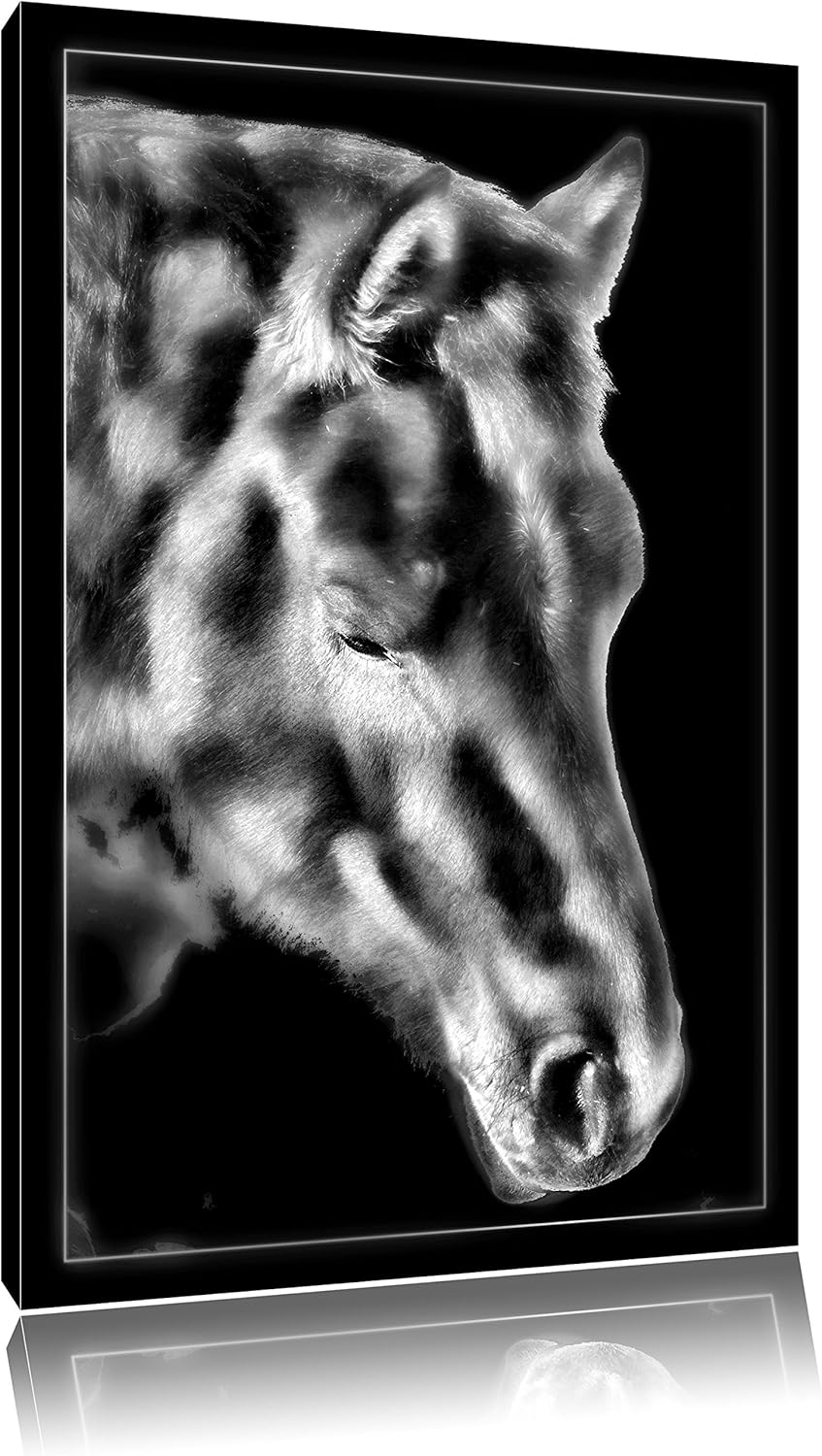 Pixxprint majestätisches Pferd als Leinwandbild/Grösse: 100x70 cm/Wandbild/Kunstdruck/fertig bespann