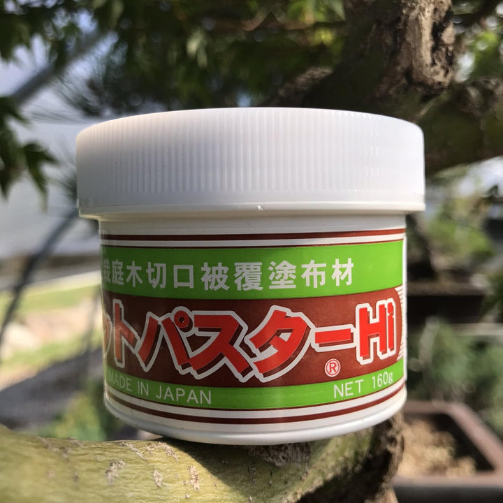 Japanischer Mastix, Heilpaste speziell für Bonsai-Laubbäume, 160 g