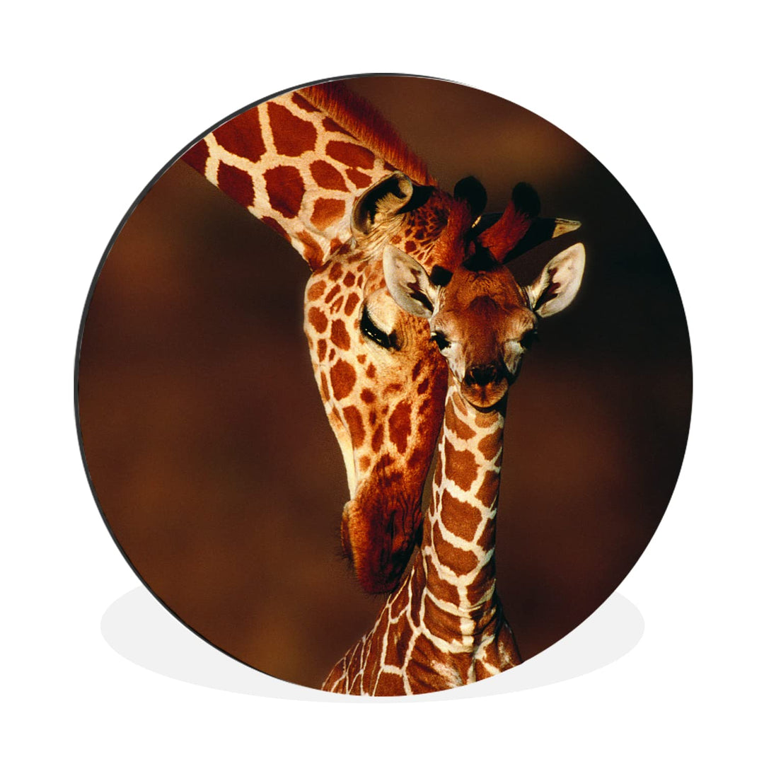 MuchoWow Wandbild Rund Wanddeko Deko Wohnzimmer Bilder 90x90 cm Giraffe - Kalb - Porträt, 90x90 cm