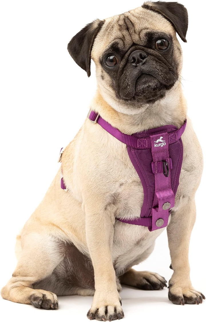 Kurgo Tru-Fit Hundegeschirr, Crash-Test-erprobtes Auto-Sicherheitsgurt, Für Hunde von 2 bis 5 kg, Gr