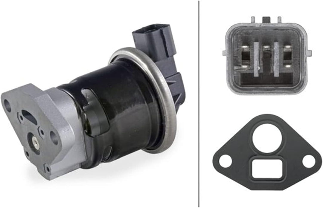 HELLA 6NU 010 171-731 AGR-Ventil - 12V - elektrisch - mit Dichtung