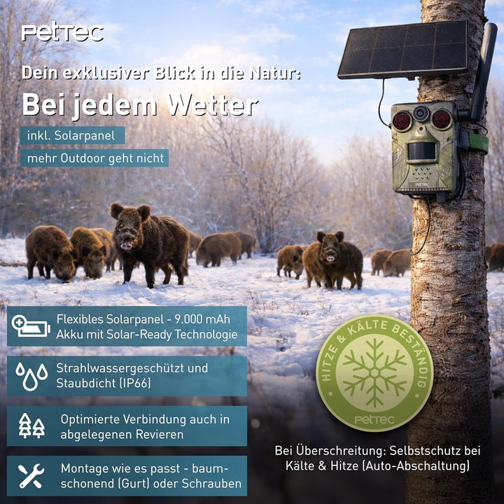 PetTec - PetCam Trail 4G Wildtierkamera mit Solar Panel und mit Nachtsicht & Bewegungsmelder - Ausse