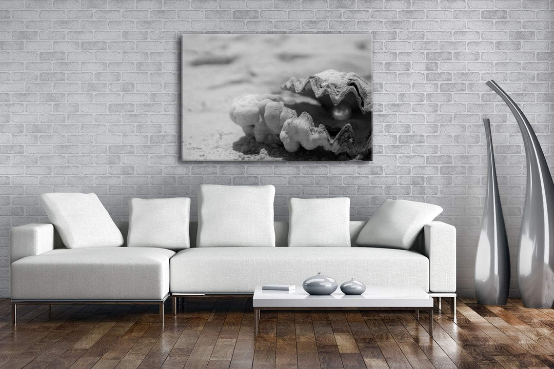 deyoli gestrandete Perlenmuschel Format: 80x60 Effekt: Schwarz&Weiss als Leinwand, Motiv fertig gera