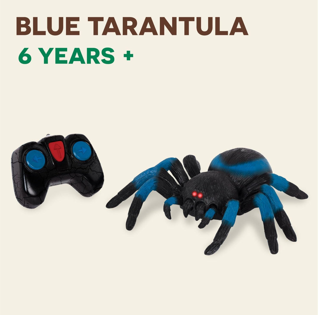Terra Ferngesteuerte Spinne Blau – RC Vogelspinne mit leuchtenden LED Augen und Fernbedienung – Tara