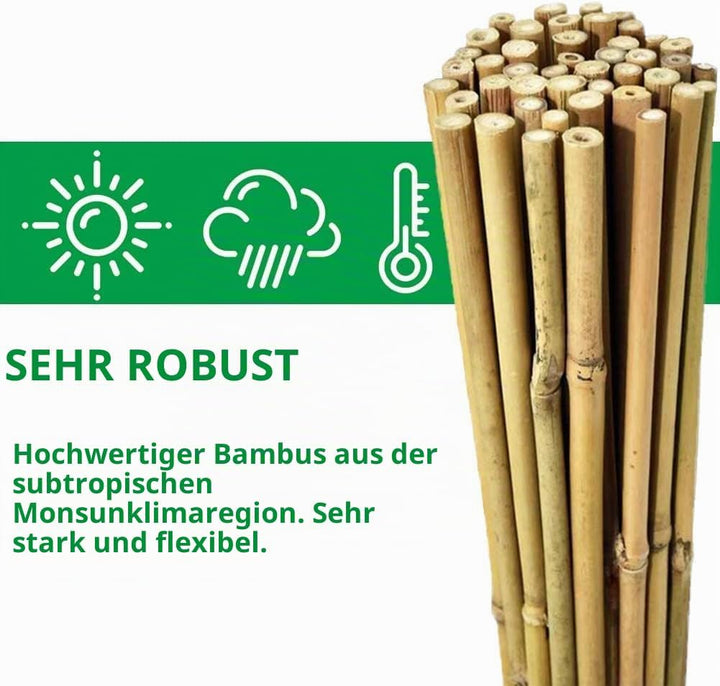 Mininfa Natürliche Bambusstäbe 60CM,50 Stück ，Umweltfreundliche Bambusstange, Bambusstangen, Pflanze