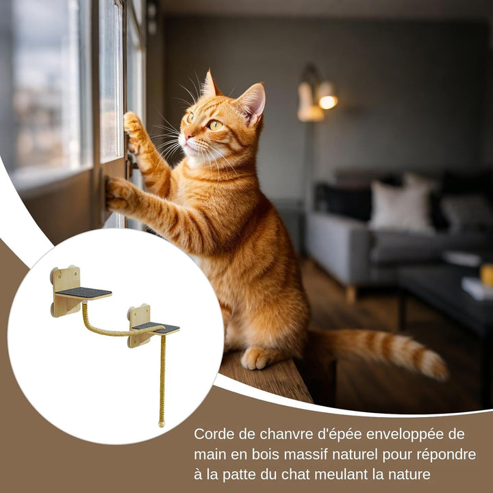 Wandregal für Katzen – Kletterwand für den Innenbereich mit Kratzbrett, Treppen und Spielzeug in Tur