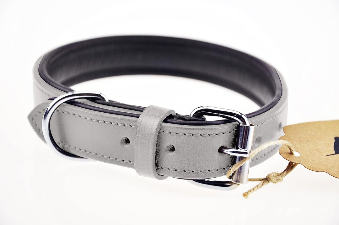 Schnüffelfreunde Halsband für Hunde aus Leder, Hundehalsband für den grossen, mittleren und kleinen
