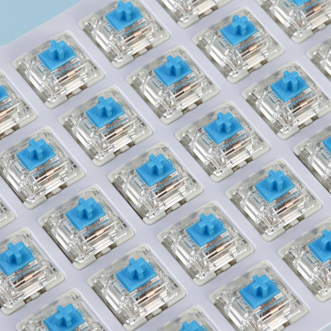 Gateron G Blue Pro 3.0 Schalter vorgeschmiert 3pin RGB SMD Clicky für Gaming Mechanische Tastatur (1