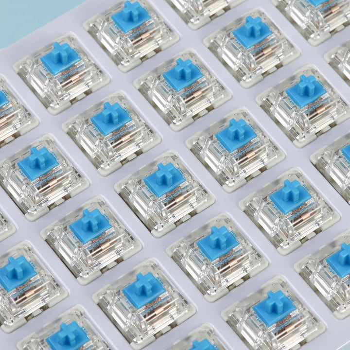 Gateron G Blue Pro 3.0 Schalter vorgeschmiert 3pin RGB SMD Clicky für Gaming Mechanische Tastatur (1