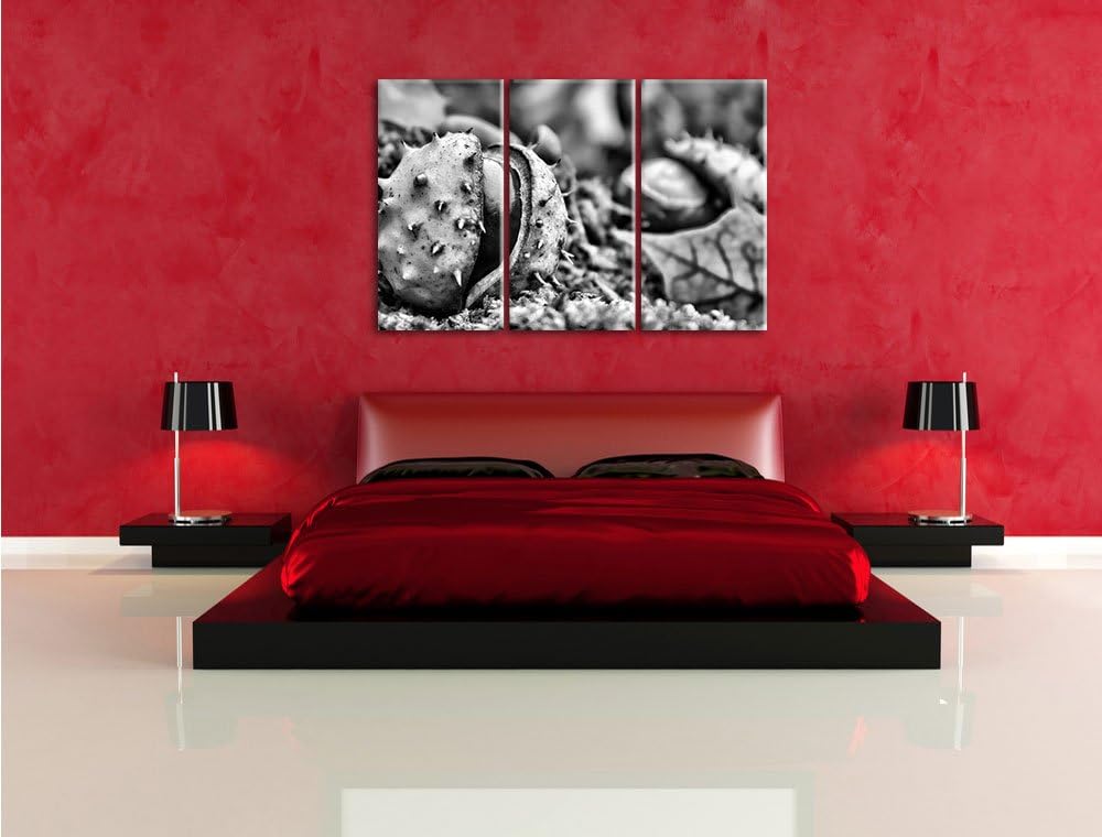 Pixxprint Monocrome, Erste Kastanie öffnet Sich 3-Teiler Leinwandbild 120x80 Bild auf Leinwand