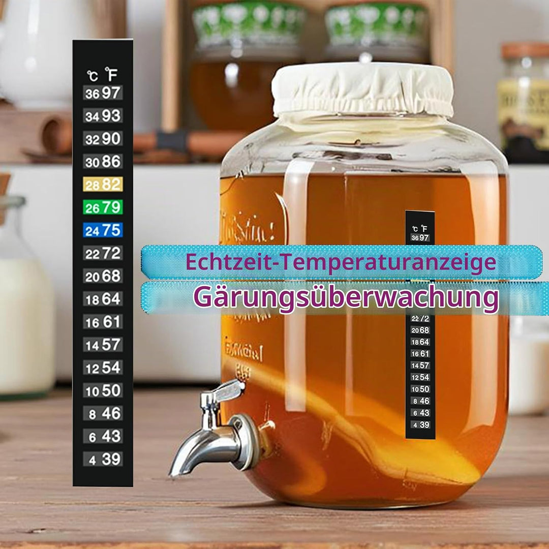Kombucha Brauset mit 5,0L Glasfermenter &amp; Hahn – Komplett-Set mit Edelstahl-Trichter, Tuch, Temperat