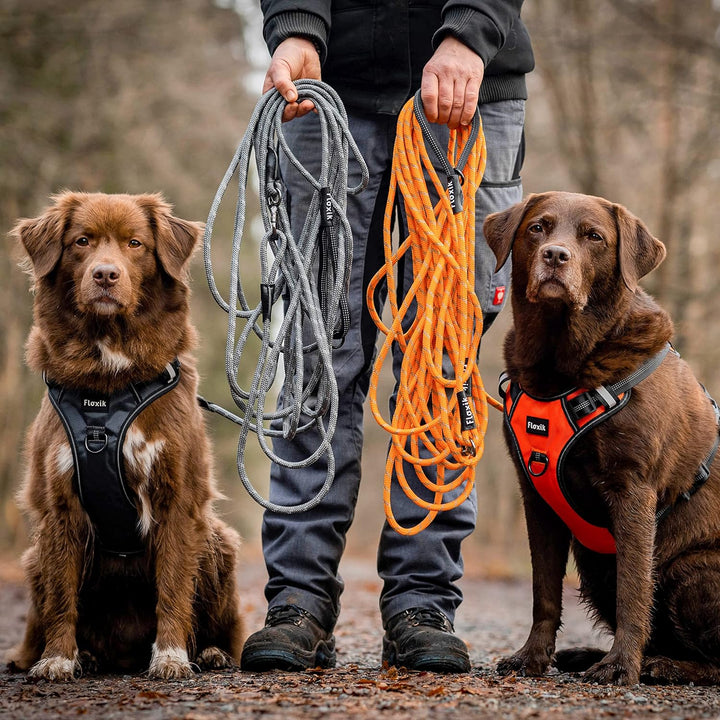 Floxik Schleppleine für Hunde | 5m, 10m, 15m, 20m grau | reflektierende Tauleine mit Abnehmbarer Han