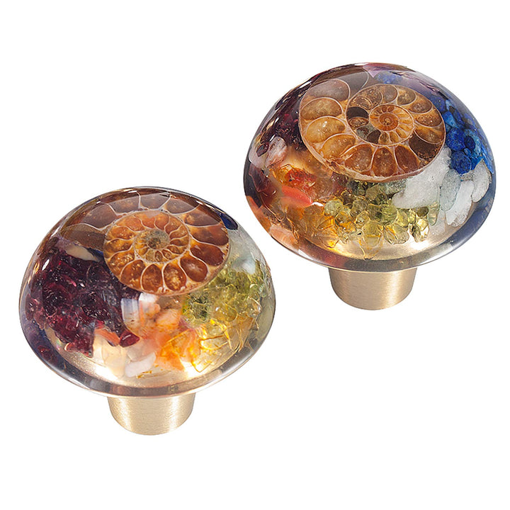 mookaitedecor 7 Chakra Schubladen Knöpfe mit Schrauben Satz von 2, Ammonit Fossil Harz dekorative Kr