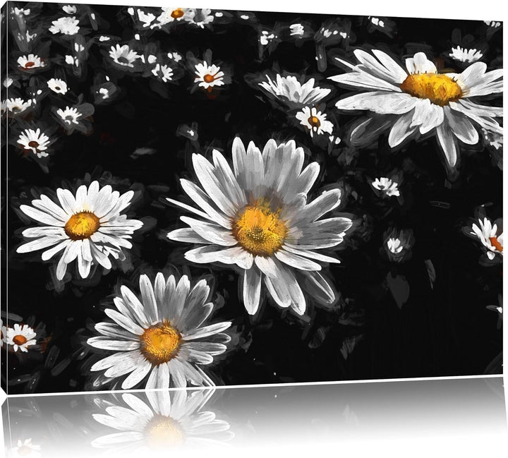 Dark viele kleine Margariten schwarz/weiss Deluxe Format: 120x80 cm auf Leinwand, XXL riesige Bilder