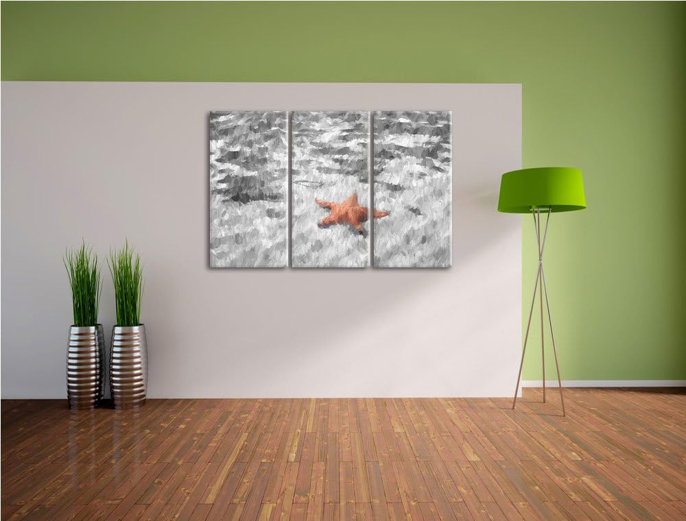 schöner Seestern im klaren Wasser schwarz/weiss Spezial 3-Teiler Leinwandbild 120x80 Bild auf Leinwa