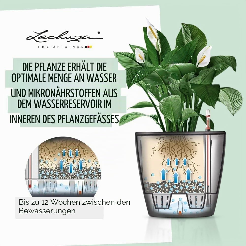 LECHUZA CLASSICO Premium LS 43 anthrazit metallic 16083 43.5x43.5x39.5 cm Anthrazit Metallic Einzel,