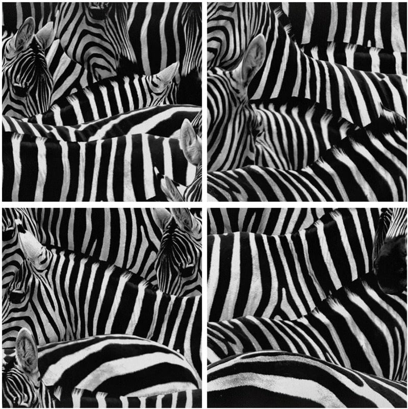 Panorama Bilder auf Leinwand 100x40cm Leinwandbild Tiere Zebra Streifen Gross Wanddeko Bild Schlafzi