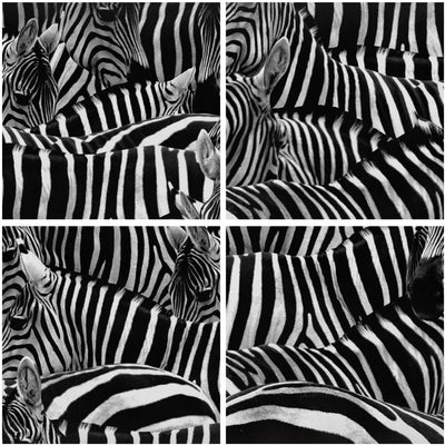 ARTTOR Bilder auf Leinwand 100x70cm Leinwandbild Tiere Zebra Streifen Gross Wanddeko Bild Schlafzimm