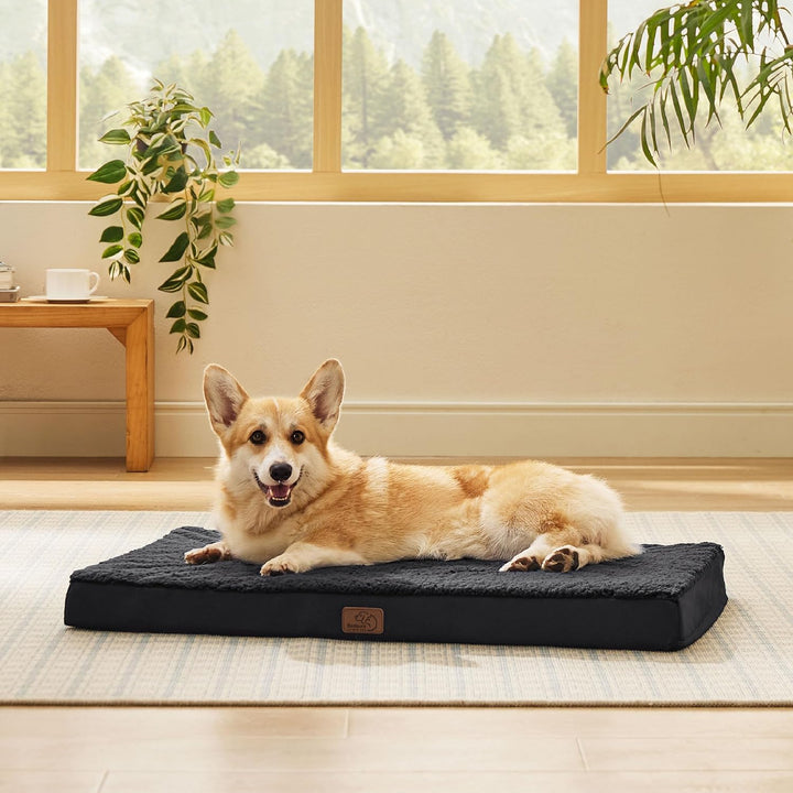BEDSURE orthopädisches Hundebett mittelgrosse Hunde - 89x56x7.6cm Hundekissen flauschig Hundematte w