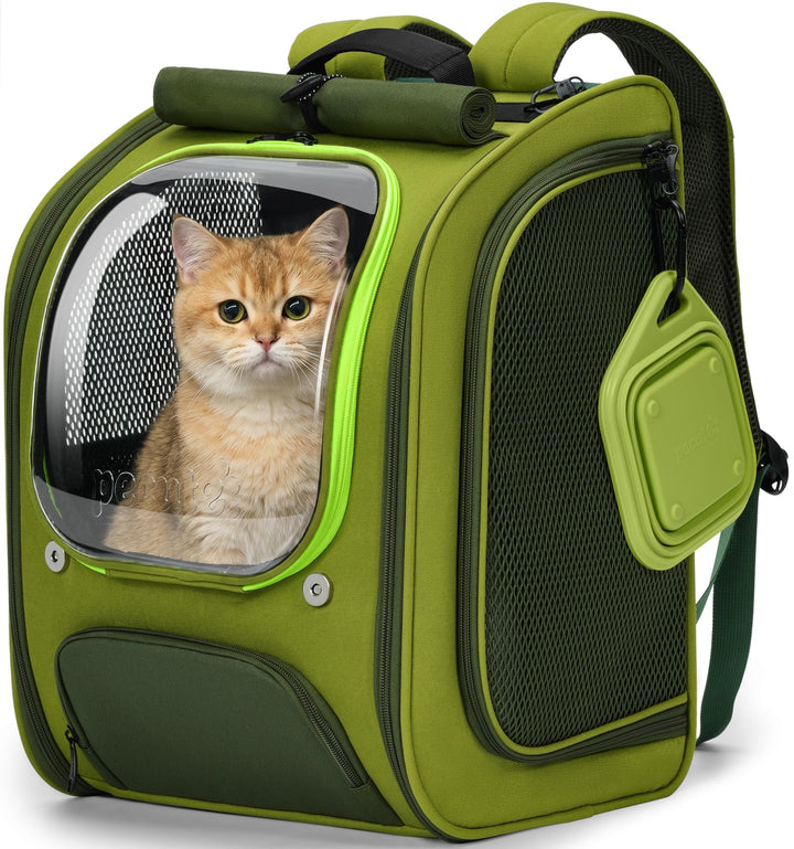 pecute Katzenrucksack Bubble Haustier Rucksack mit Netzfenster, Tragbare und Faltbare Katzentasche,