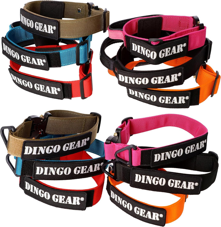 Dingo Gear Hundehalsband mit Cobra Schnalle, Farbe Schwarz,Band Breite 4 cm Länge 45-63 cm S04029 Sc