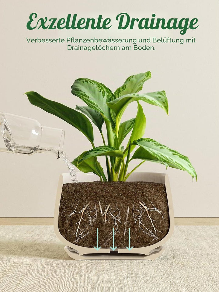 LE TAUCI Blumentöpfe 4,1+5,1+16,5 cm 3er Set Keramik Pflanzgefässe mit Ablaufloch und Untersetzer, I