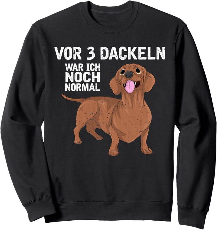 Vor 3 Dackeln war ich noch normal Hund Lustiges Dackel Sweatshirt