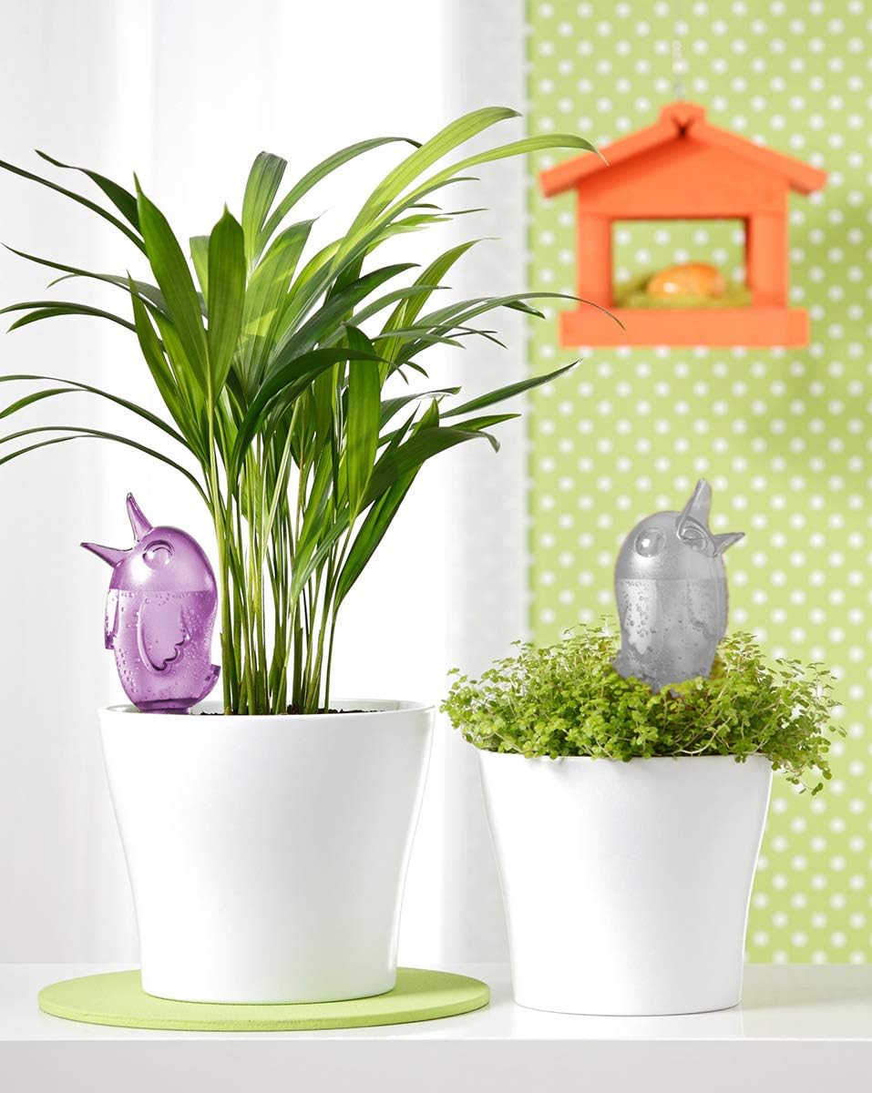 Scheurich 4er-Set Bewässerungskugel 220ml Transparent Wasserspender Bördy M (Klar) Wasserspeicher Tr