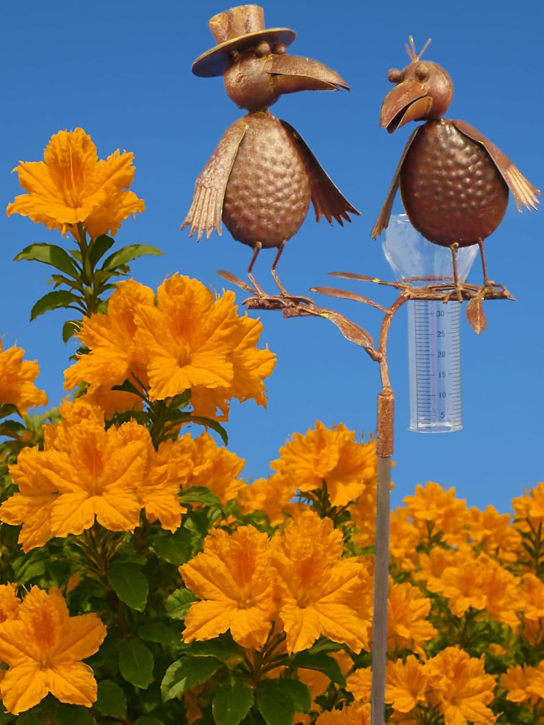 Pommerntraum ® | Regenmesser Niederschlagsmesser Pluviometer Gartenstecker Wetterstation Meisenknöde