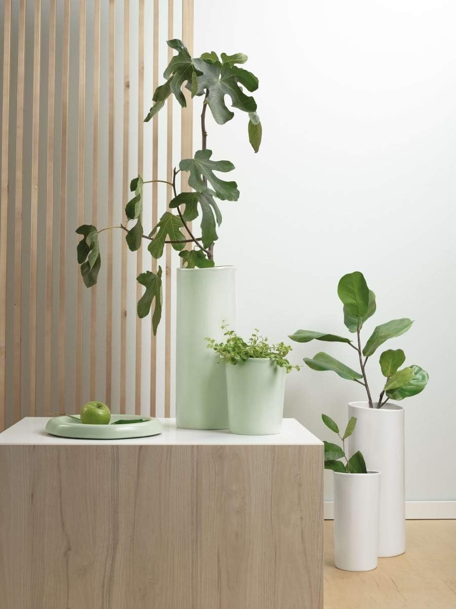 ASA 62014182 Terra Spice Vase Green Blush 27,5 cm (1 Stück)