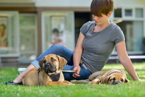 HUNTER NEOPREN Hundegeschirr, Nylon, gepolstert mit Neopren, M/2 58 - 72 cm, himbeer/schwarz 58 - 72