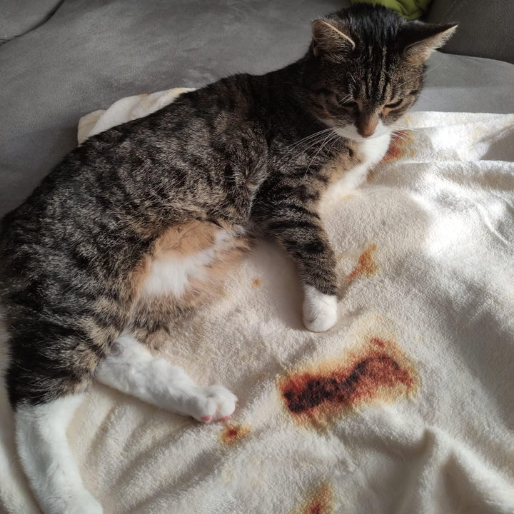 kitletsuit Burrito Tortilla-Decke, gemütlicher und doppelseitig Decke für drinnen, draussen und mehr