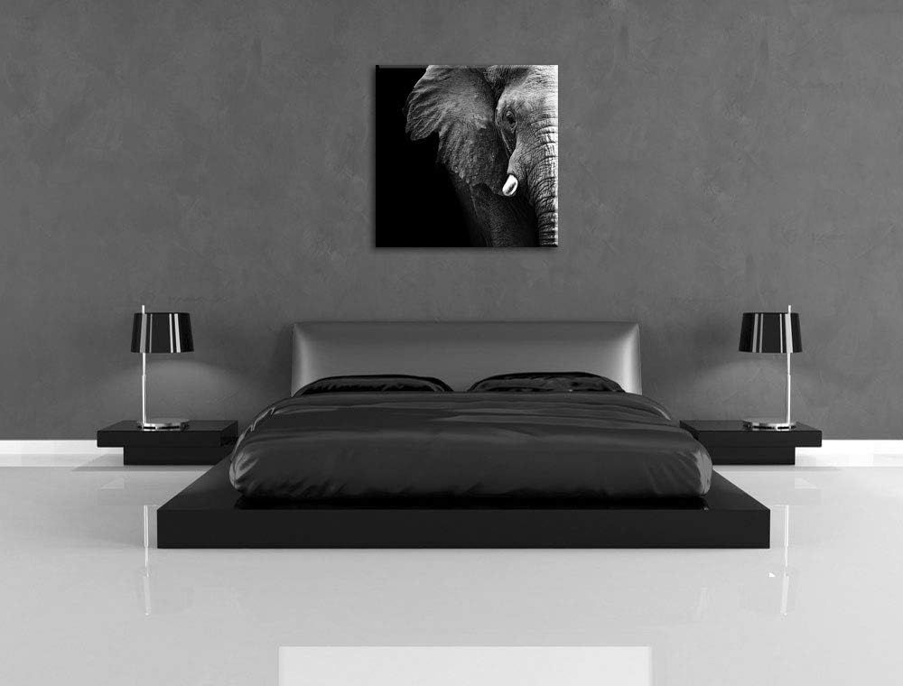 Pixxprint Elefant Porträt, Format: 70x70 auf Leinwand, XXL riesige Bilder fertig gerahmt mit Keilrah