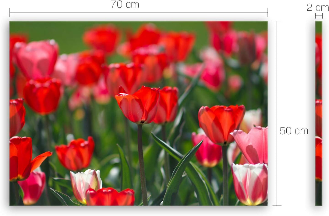ge Bildet Bild auf Leinwand | Tulpen in 70x50 cm als Wandbild | Wand-deko Dekoration Wohnung modern