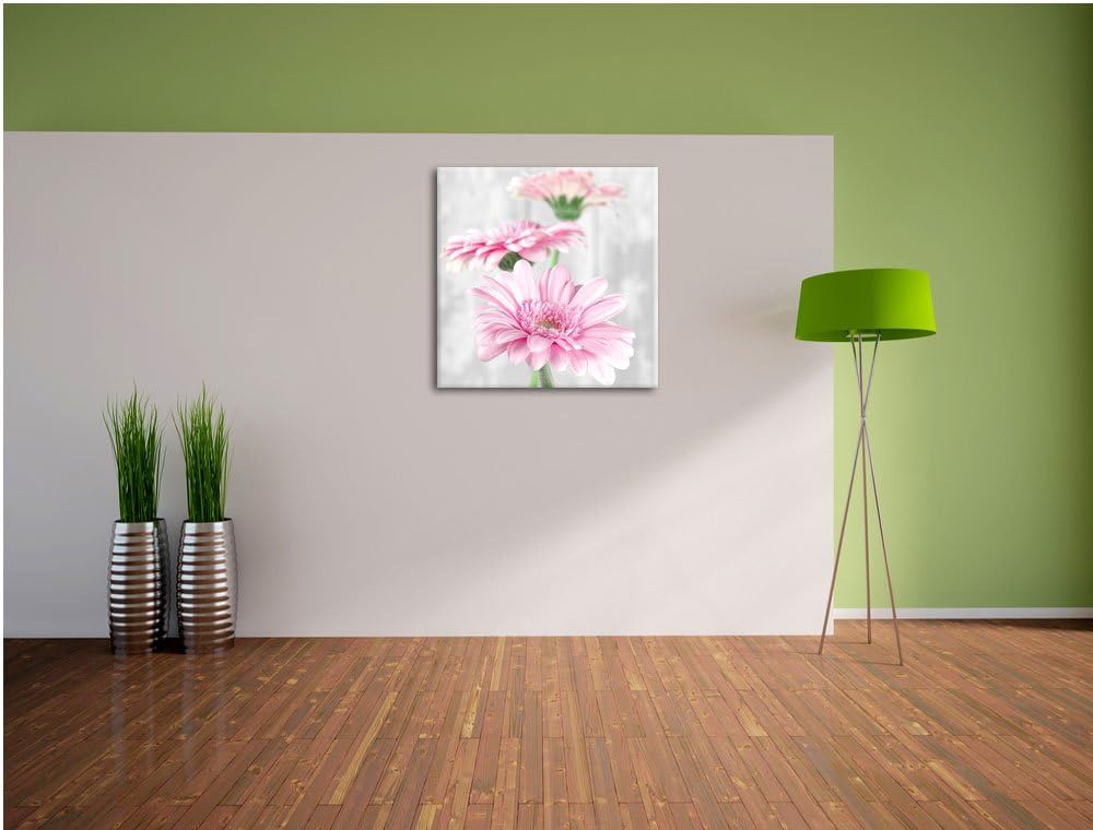 Pixxprint schöne Gerberas bei Tageslicht schwarz/weiss, Format: 70x70 als Leinwandbild, 70x70