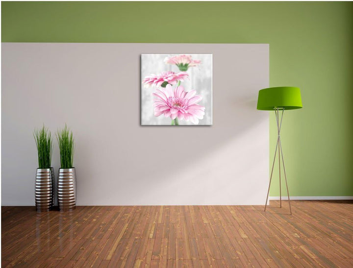 Pixxprint schöne Gerberas bei Tageslicht schwarz/weiss, Format: 70x70 als Leinwandbild, 70x70